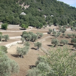 Corredors ecològics